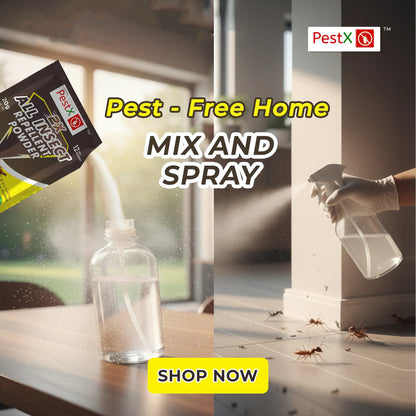 All Insect Repellent Powder