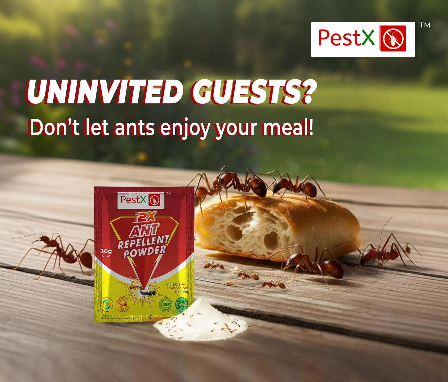 Ant Repellent Powder