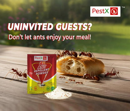 Ant Repellent Powder