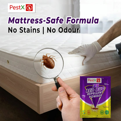 Bed Bug Repellent Powder