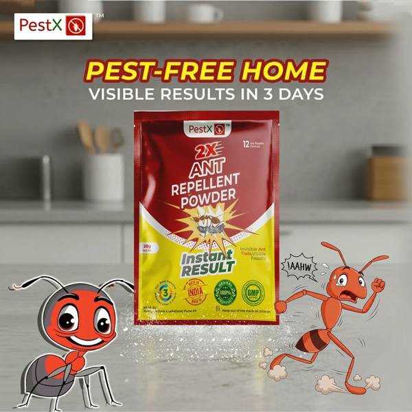 Ant Repellent Powder